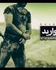 نماهنگ «دانه های مروارید» - تقدیم به 175 شهید غواص+دانلود