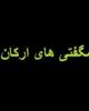 فیلم/ شگفتی های ارکان نماز حتما ببینید خیلی جالب هست....+دانلود