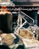 فیلم/گفتگوی مستقیم رزمنده حزب الله با تروریست مسلح در زبدانی سوریه+دانلود